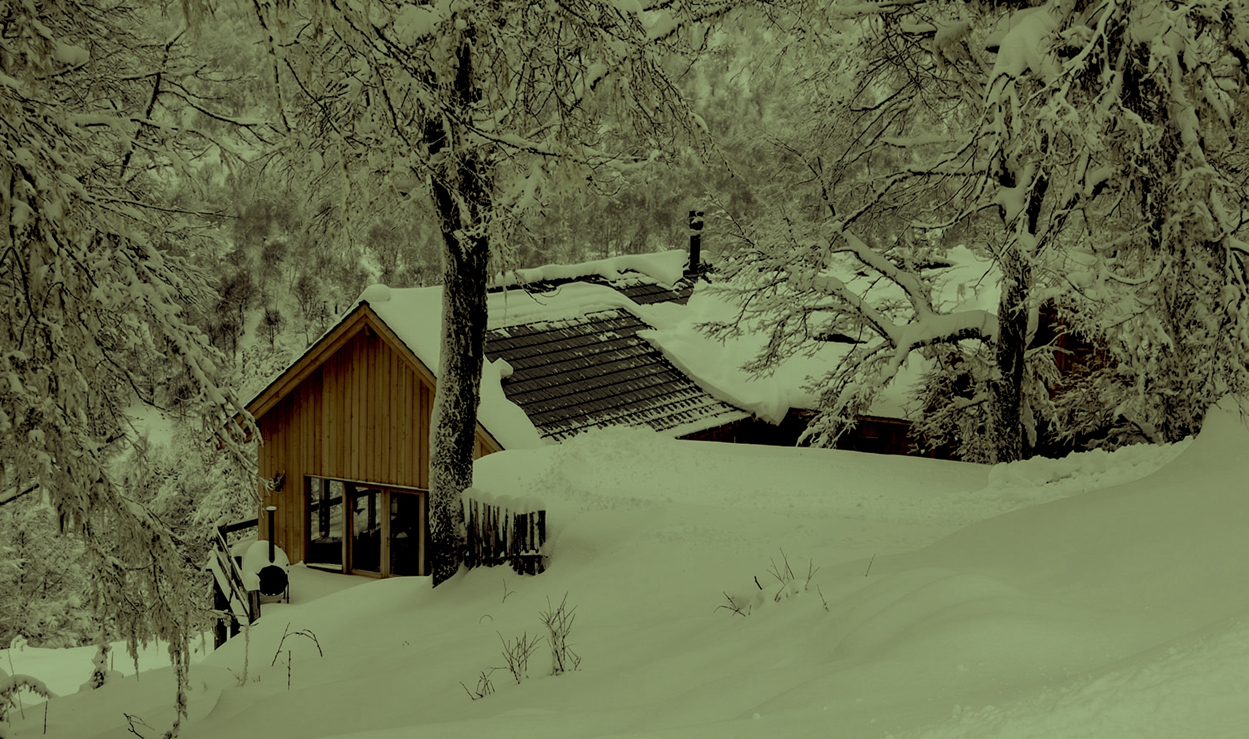 Vista panorámica de Las Pendientes con el Volcán Lanín